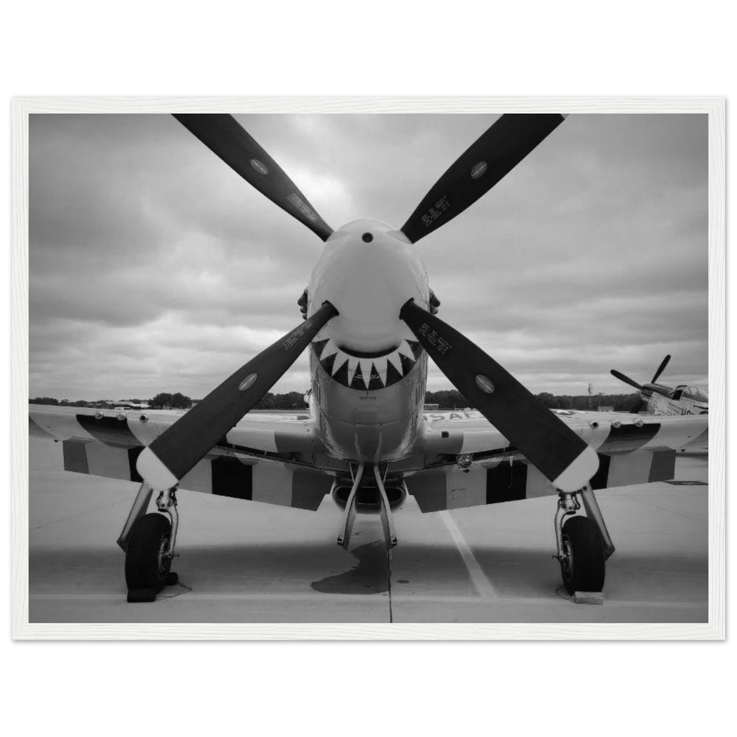 P51 - 18 x 24 - Premium Semi-Glossy Paper Wooden Framed Poster