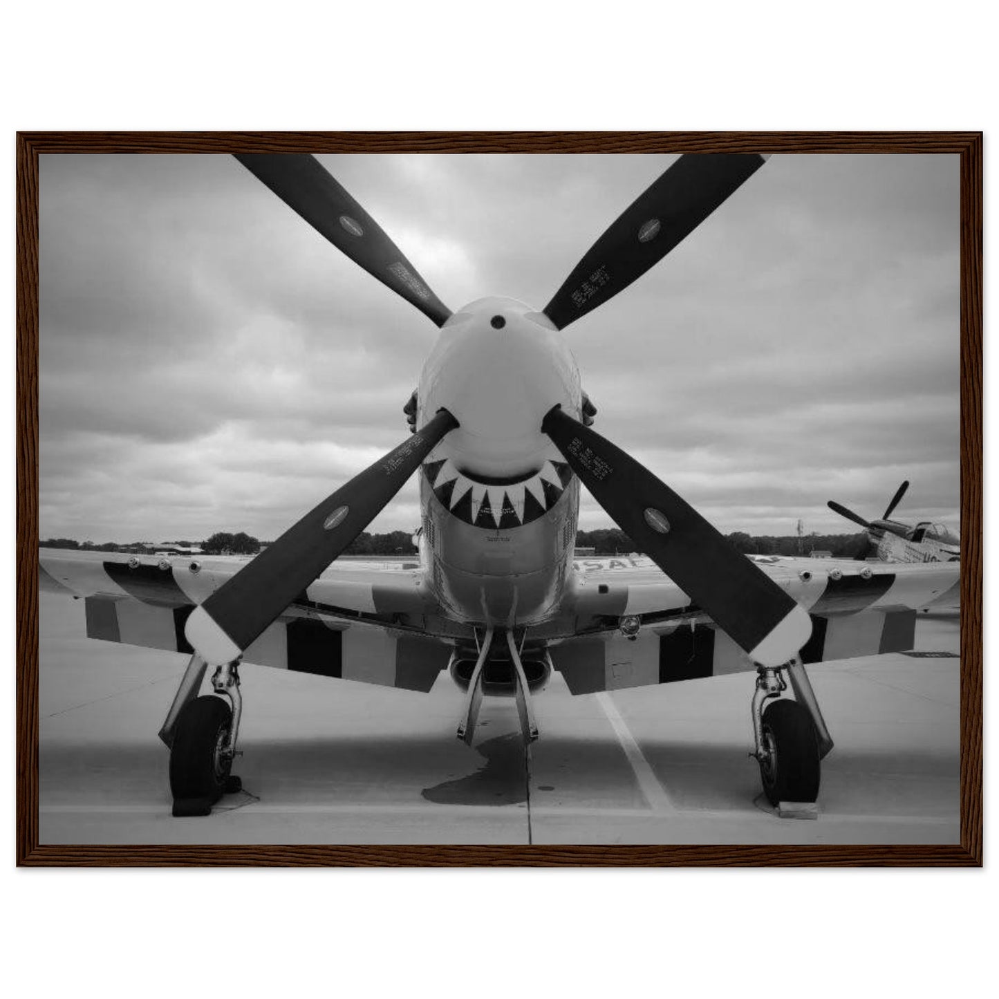 P51 - 18 x 24 - Premium Semi-Glossy Paper Wooden Framed Poster